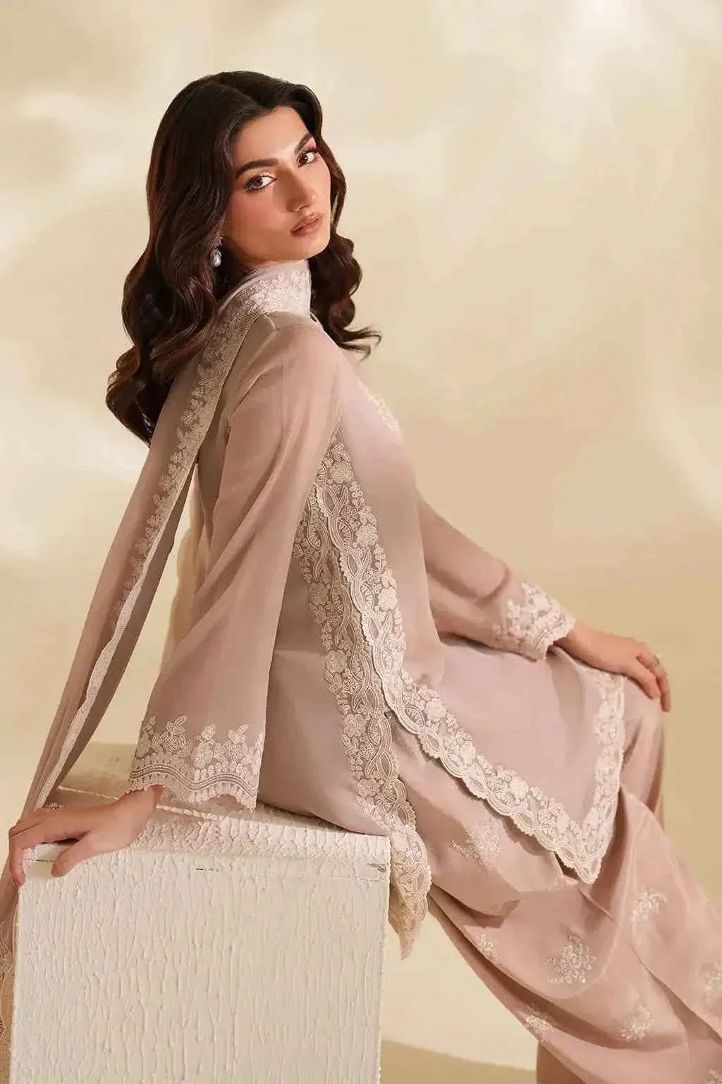 Iznik CC-79 chiffon embroidered suit styled look