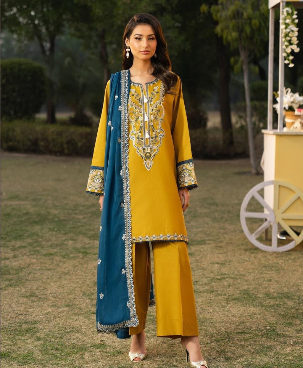 Pashmire Winter Dhanak 3PC model